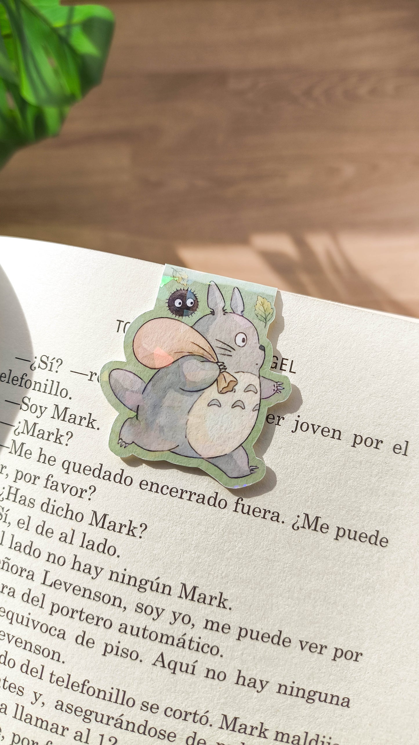 Marcapáginas magnéticos - Totoro