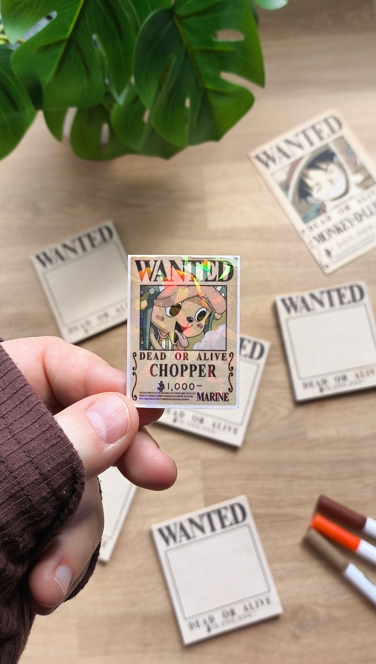 Marcapáginas Magnéticos - One Piece