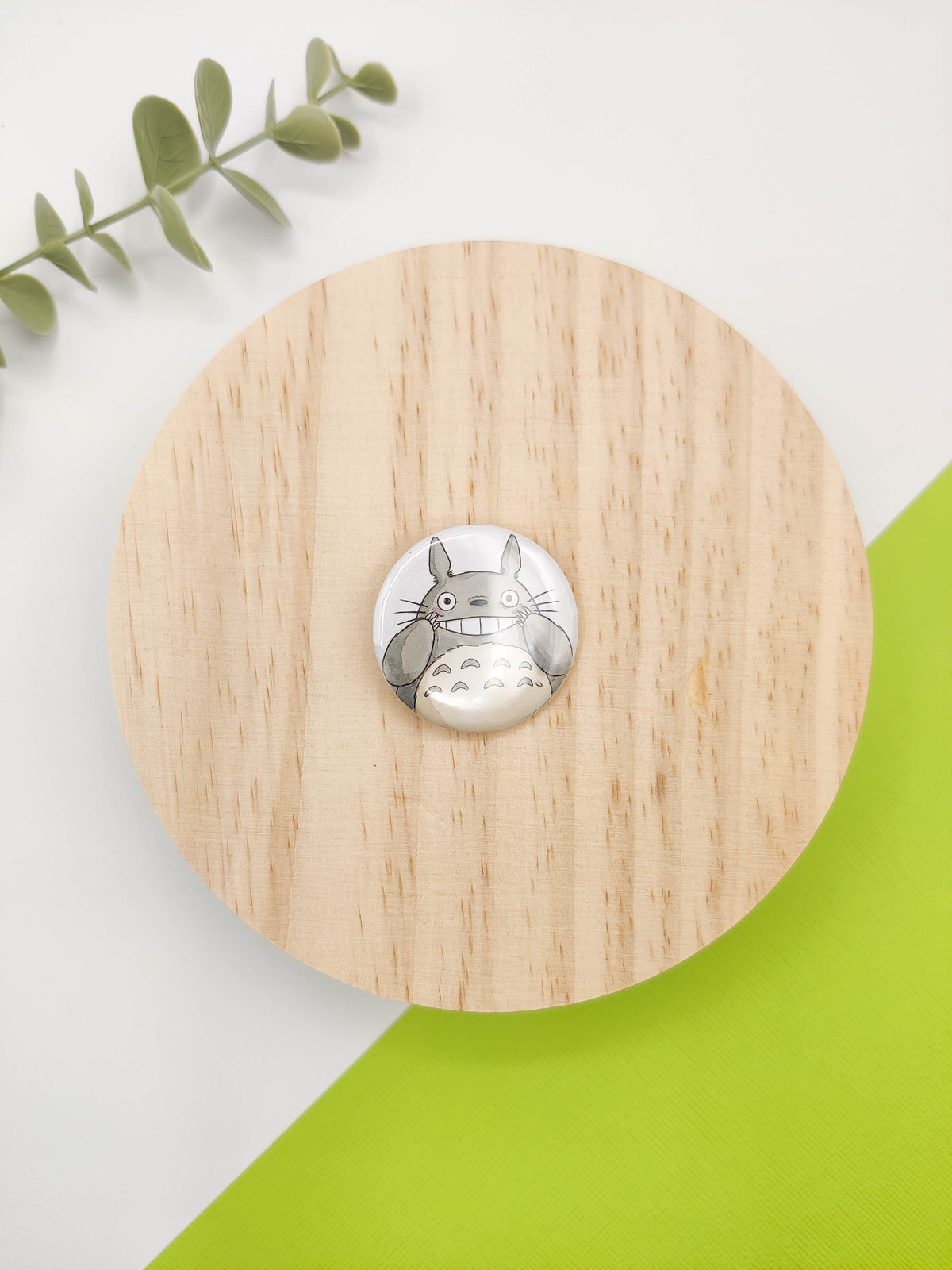 Chapa Totoro - Totoro